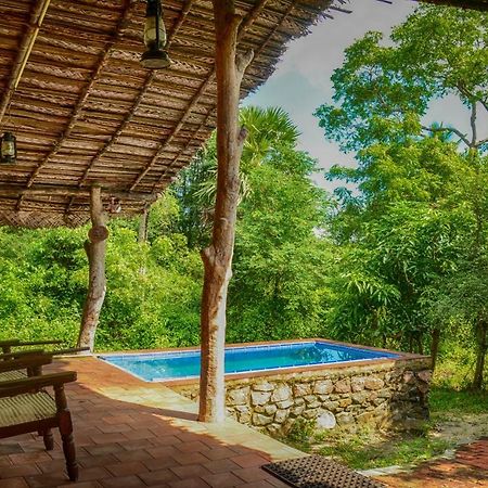 Wild Wadi Wilpattu - Villas With Private Plunge Pools Экстерьер фото